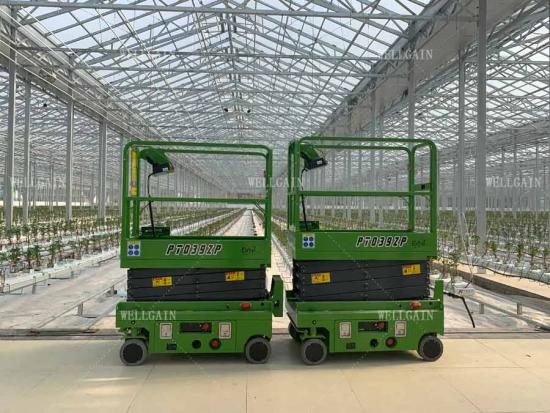 Harvesting Trolleys in greenhouse