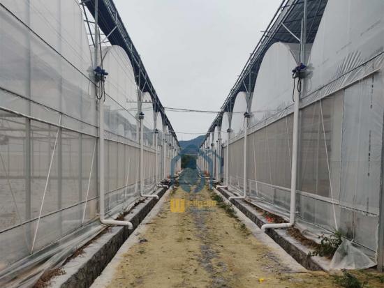 used commercial greenhouse frames for sale