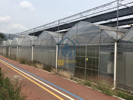 Commercial greenhouse structures
