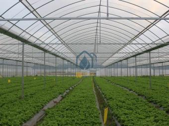 Commercial Green House