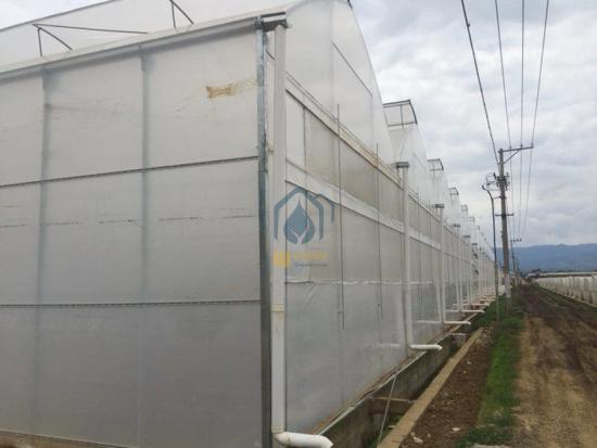 UV-resistant plastic greenhouse