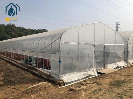 Poly tunnel green house