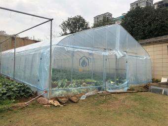 Single-span Polytunnel Greenhouse