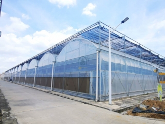 Cooling pad film greenhouse