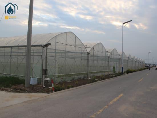 film greenhouse