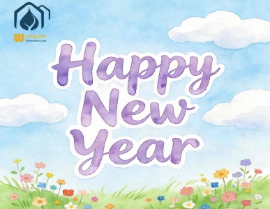 سنة جديدة سعيدة